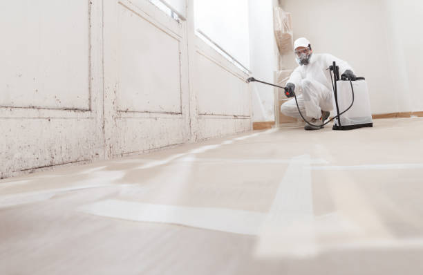 24/7 Emergency Attic Mold Remediation experts in Lincoln, MA